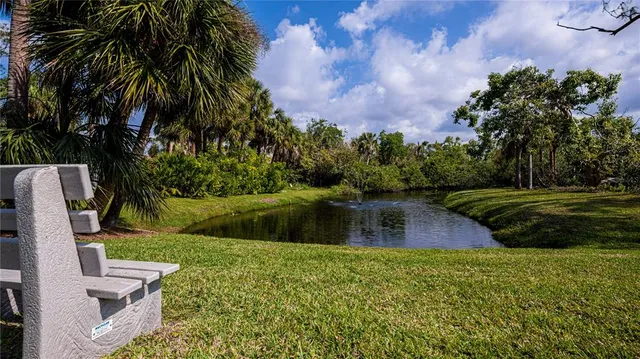 a plant that is in a garden