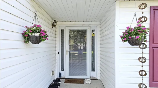 a potted plant sitting in front of a house