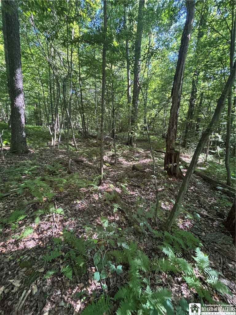 2045 Baxter Mills Road Ischua, NY 14743 - Photo 29 of 44 Gallery Image 29