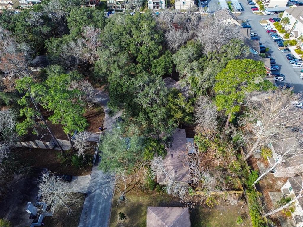 1110 Southwest 19th Place Gainesville, FL 32601 - Photo 34 of 38