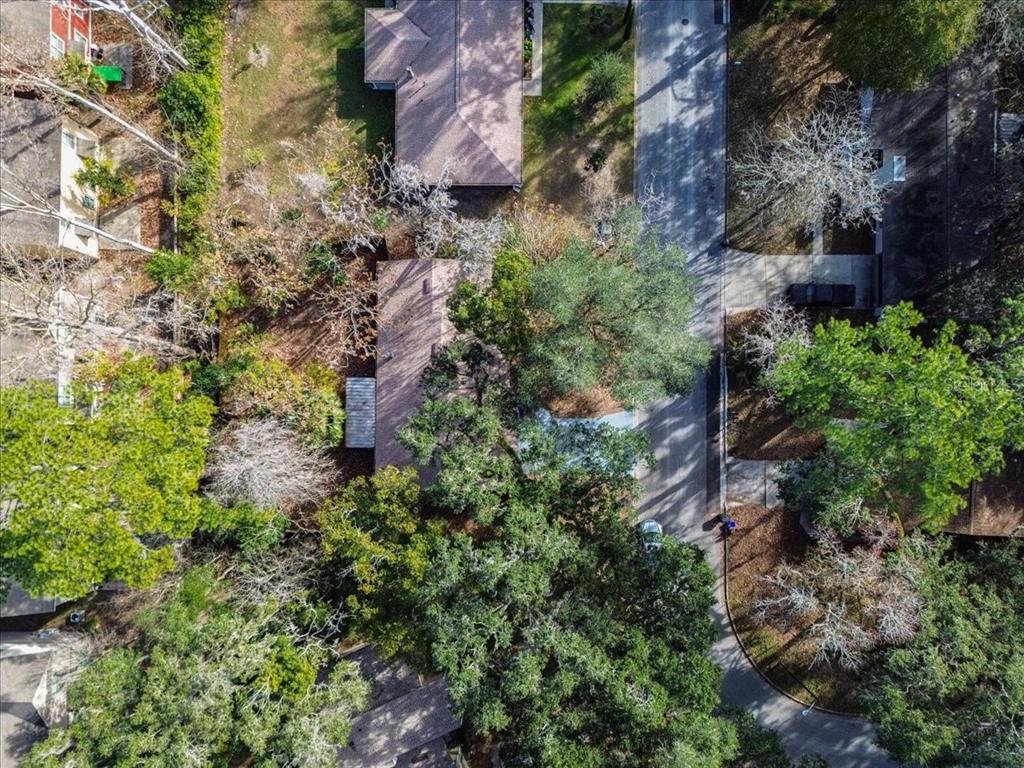 1110 Southwest 19th Place Gainesville, FL 32601 - Photo 36 of 38