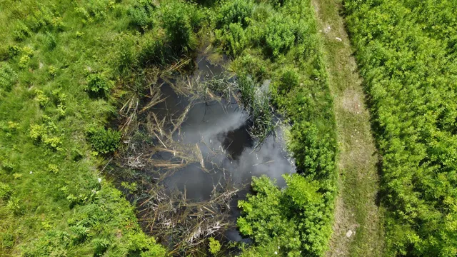 $359,000 | 22070 295th Avenue, Long Prairie, MN 56347