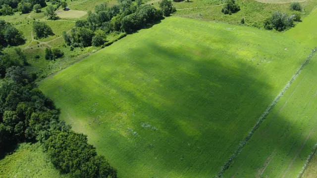 $359,000 | 22070 295th Avenue, Long Prairie, MN 56347