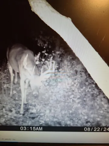 $359,000 | 22070 295th Avenue, Long Prairie, MN 56347