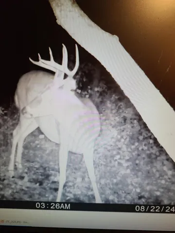 $359,000 | 22070 295th Avenue, Long Prairie, MN 56347