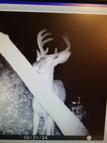 $359,000 | 22070 295th Avenue, Long Prairie, MN 56347