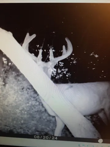 $359,000 | 22070 295th Avenue, Long Prairie, MN 56347