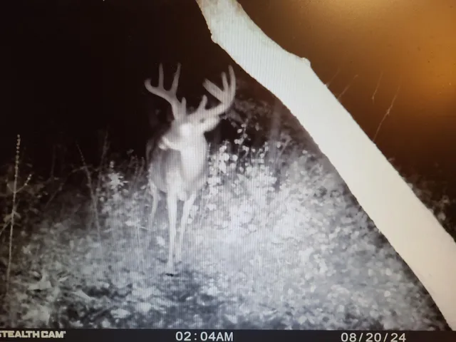 $359,000 | 22070 295th Avenue, Long Prairie, MN 56347