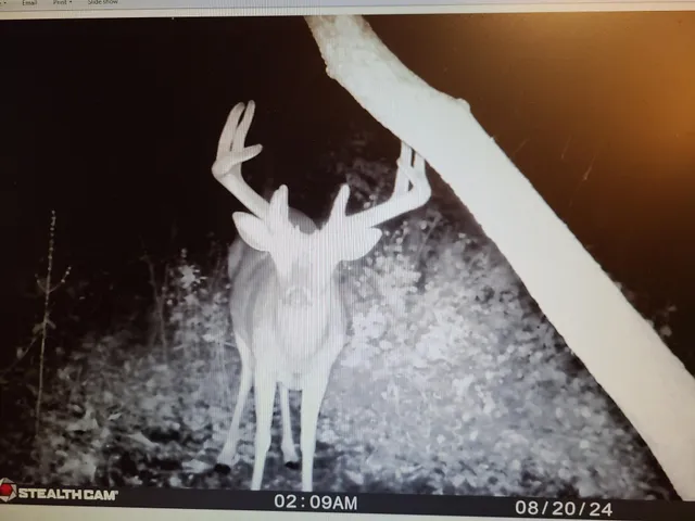 $359,000 | 22070 295th Avenue, Long Prairie, MN 56347