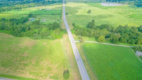 a view of a garden from a window