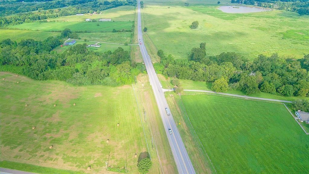 a view of a garden from a window