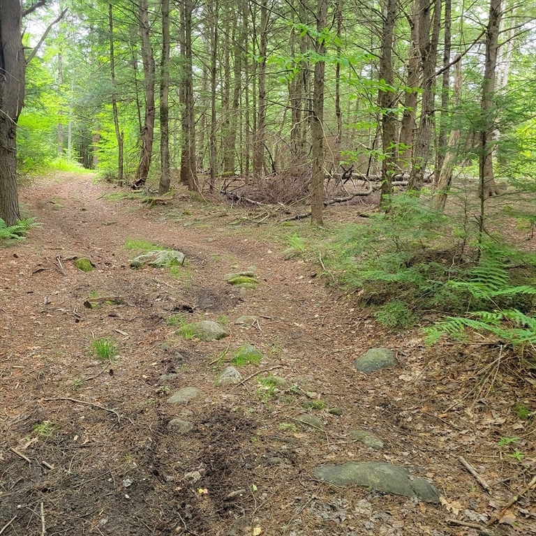 0 Stockwell Road Royalston, MA 01368 - Photo 1 of 8