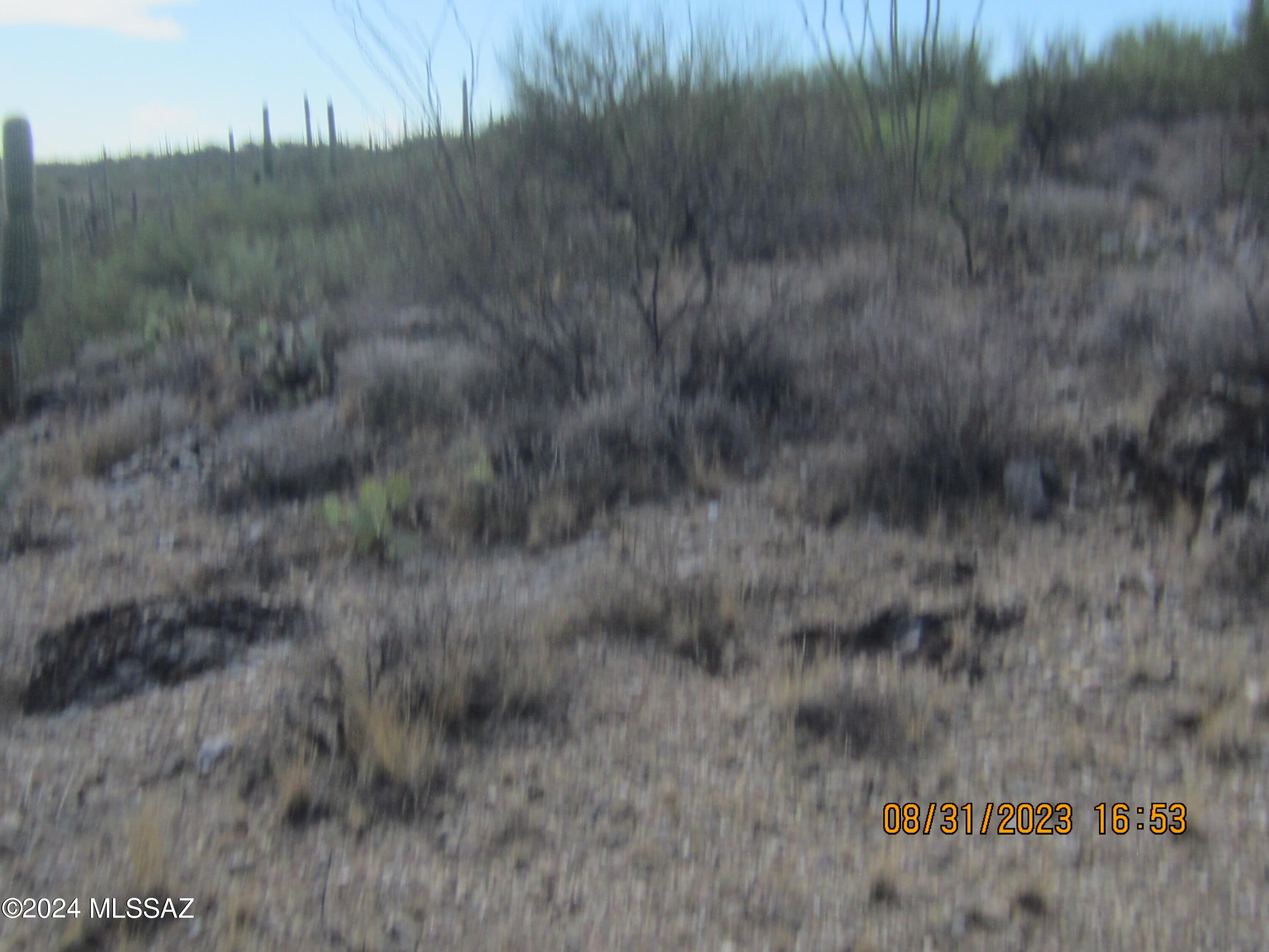 0 East Rincon Creek Ranch Road Tucson, AZ 85747 - Photo 42 of 46 Gallery Image 42