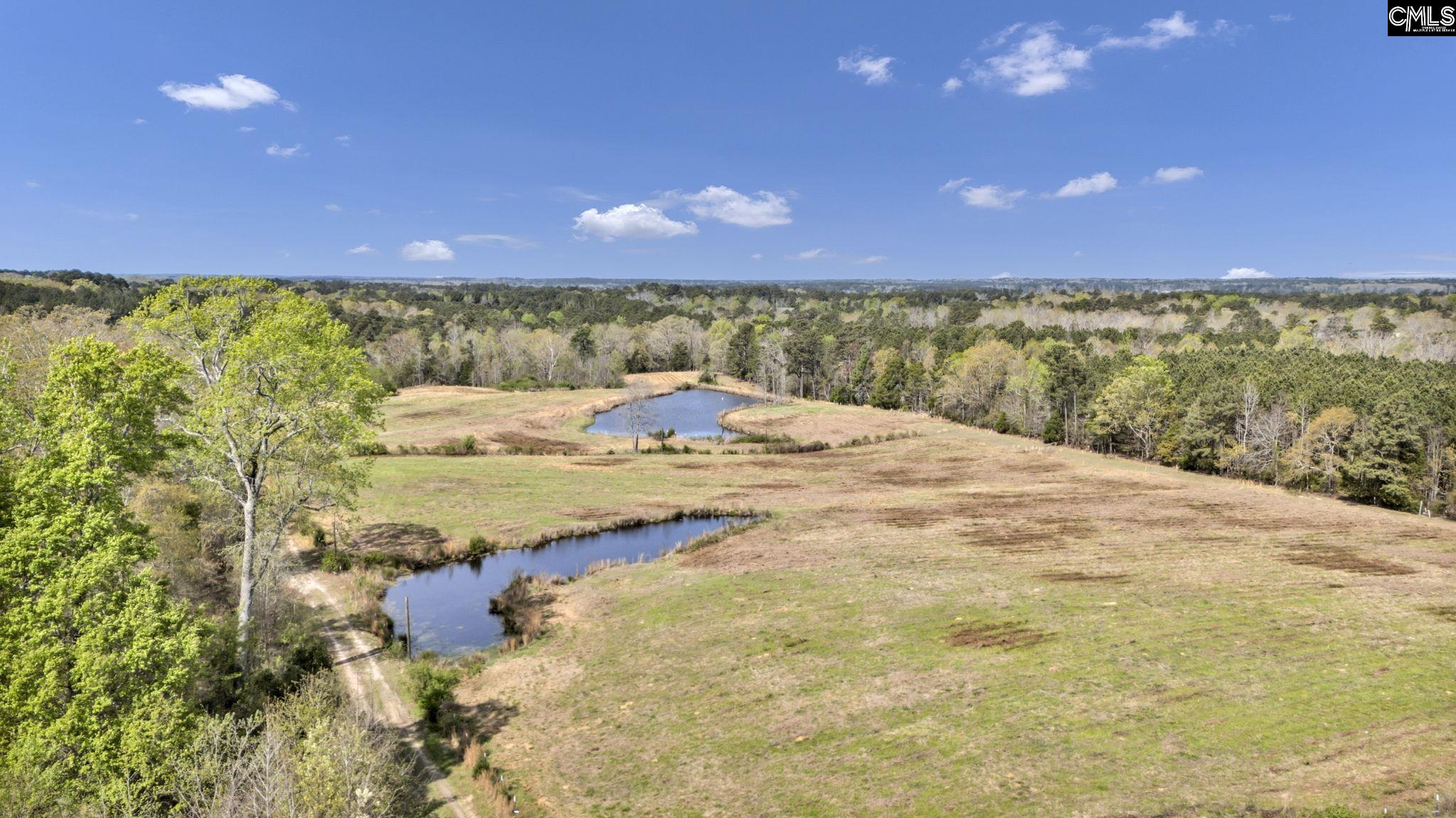 421-0 Shore Road Gilbert, SC 29054 - Photo 5 of 57
