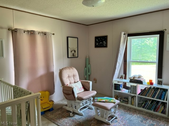 786 Kirby Ridge Mount Zion, WV 26151 - Photo 12 of 29 Gallery Image 12