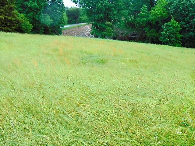3865 Fortner Ridge Road Corinth, KY 41010 - Photo 11 of 22 Photo 11