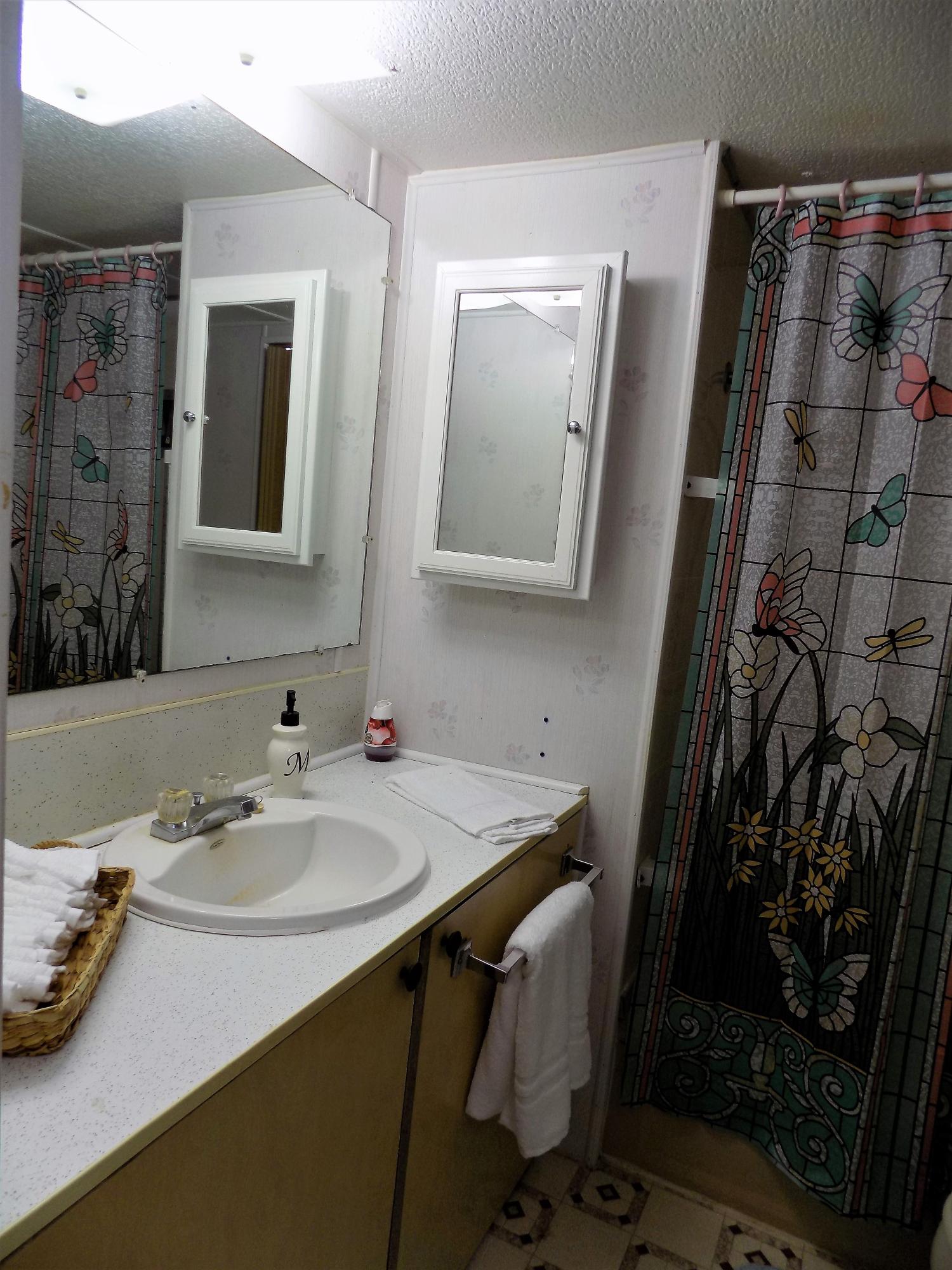 1830 Upper Rinehart Road Dandridge, TN 37725 - Photo 16 of 35 Main Bathroom