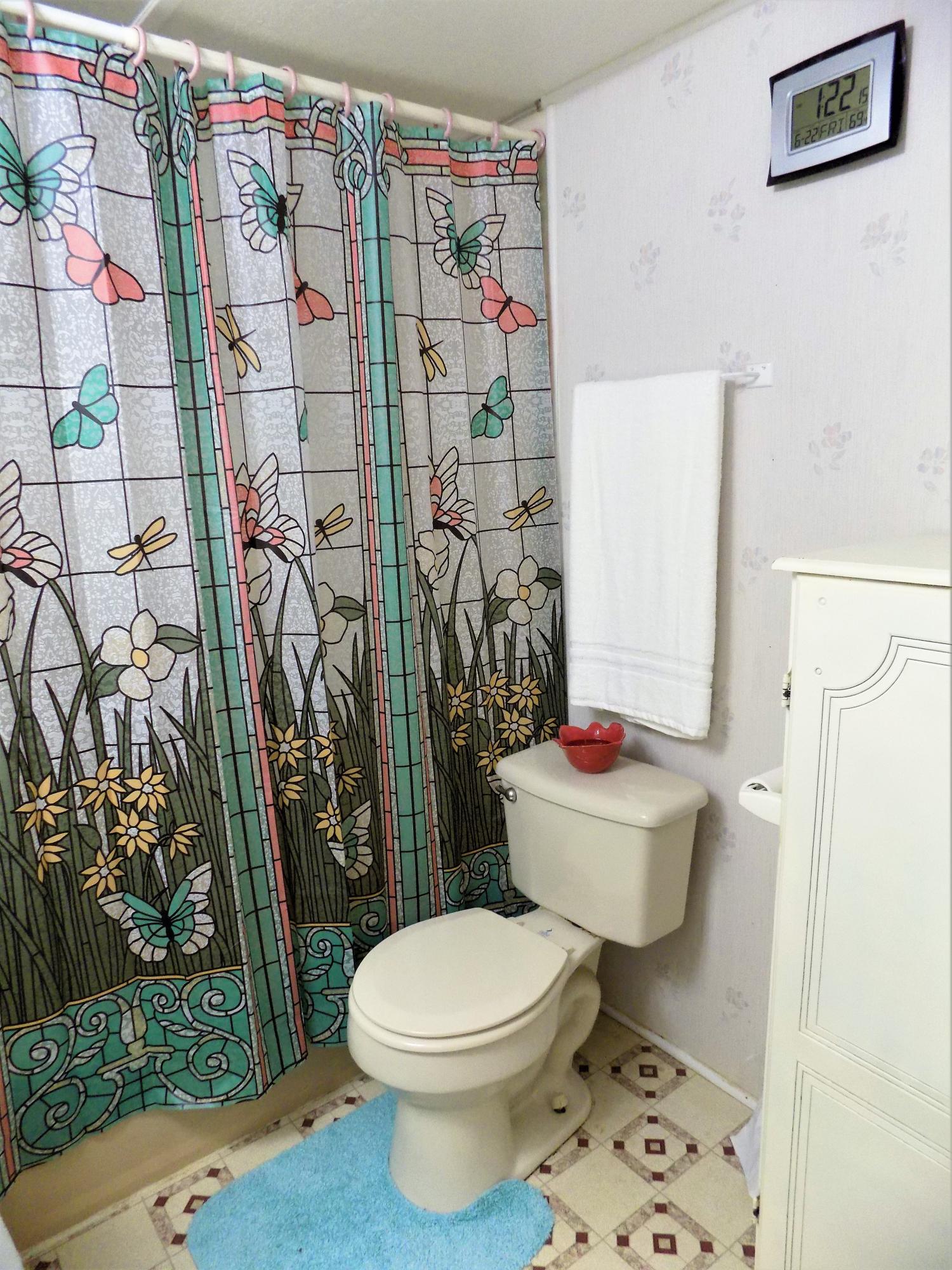 1830 Upper Rinehart Road Dandridge, TN 37725 - Photo 17 of 35 Main Bathroom