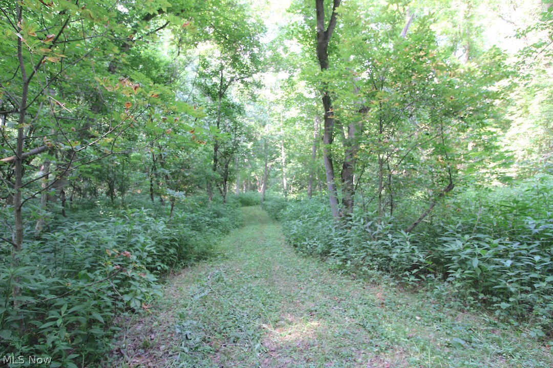 Mollies Rock Road Dresden, OH 43821 - Photo 2 of 30 Gallery Image 2