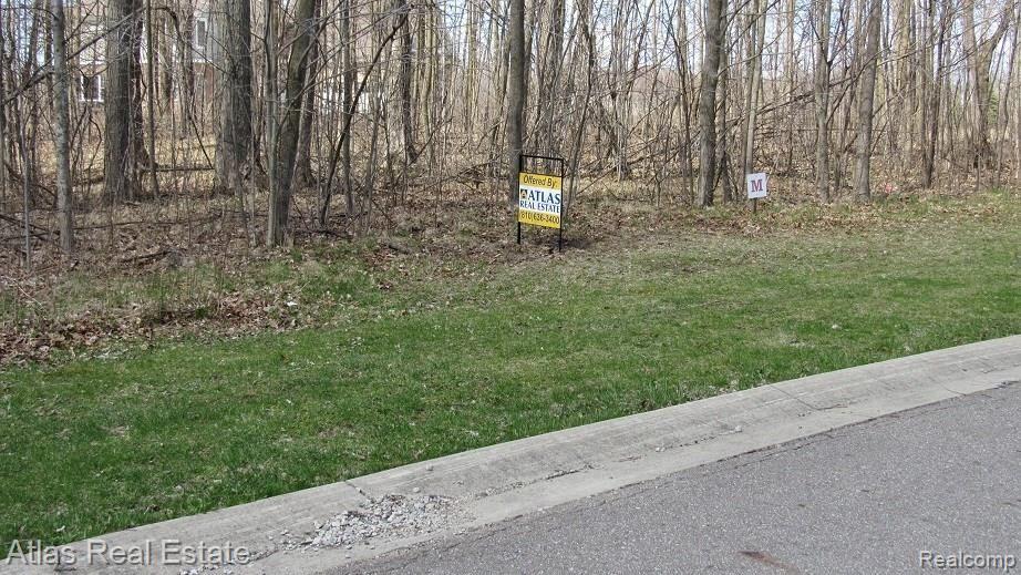 5025 Hidden Ridge Metamora, MI 48455 - Photo 3 of 3