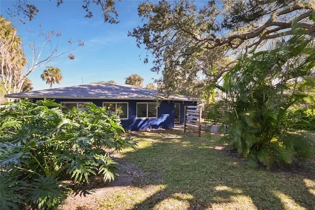 a view of a big yard with plants and a barbeque