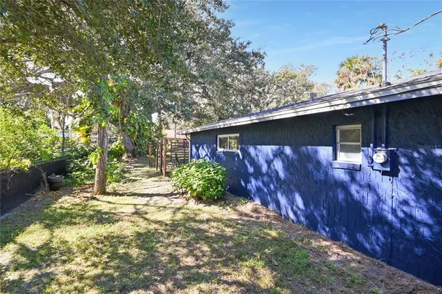 a view of a backyard with plants and large trees