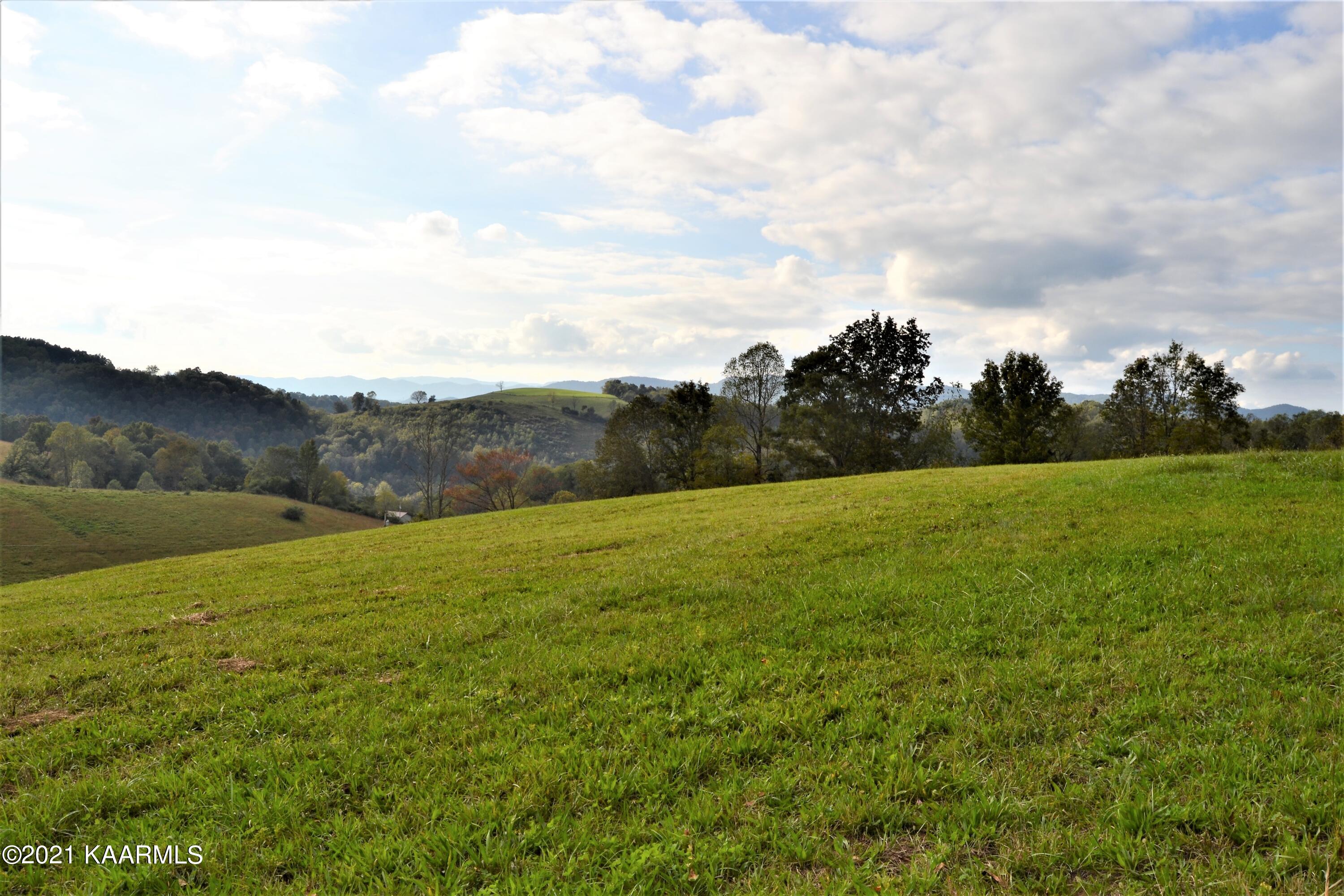 182 Grantham Ford Road Tazewell, TN 37879 - Photo 20 of 60 DSC_0004