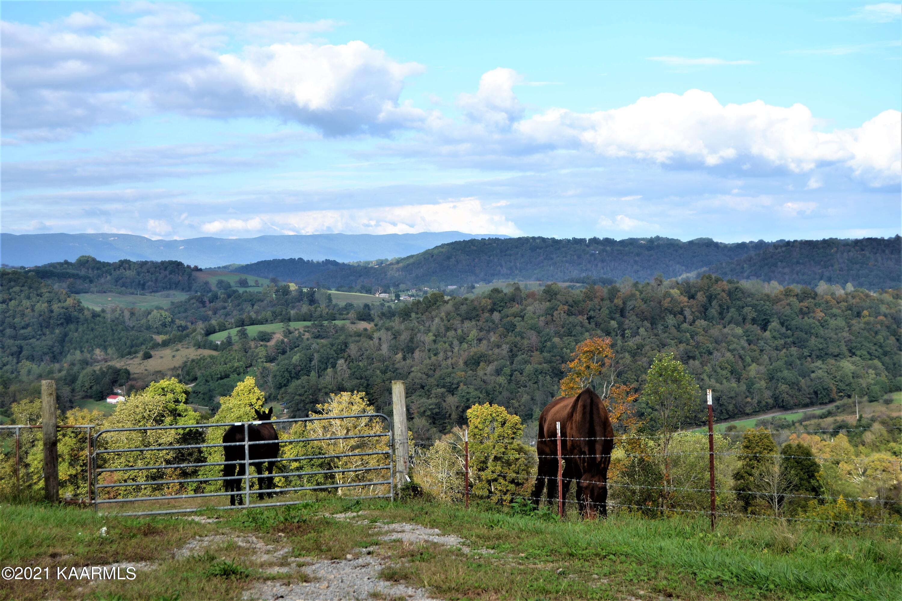 182 Grantham Ford Road Tazewell, TN 37879 - Photo 21 of 60 DSC_0016