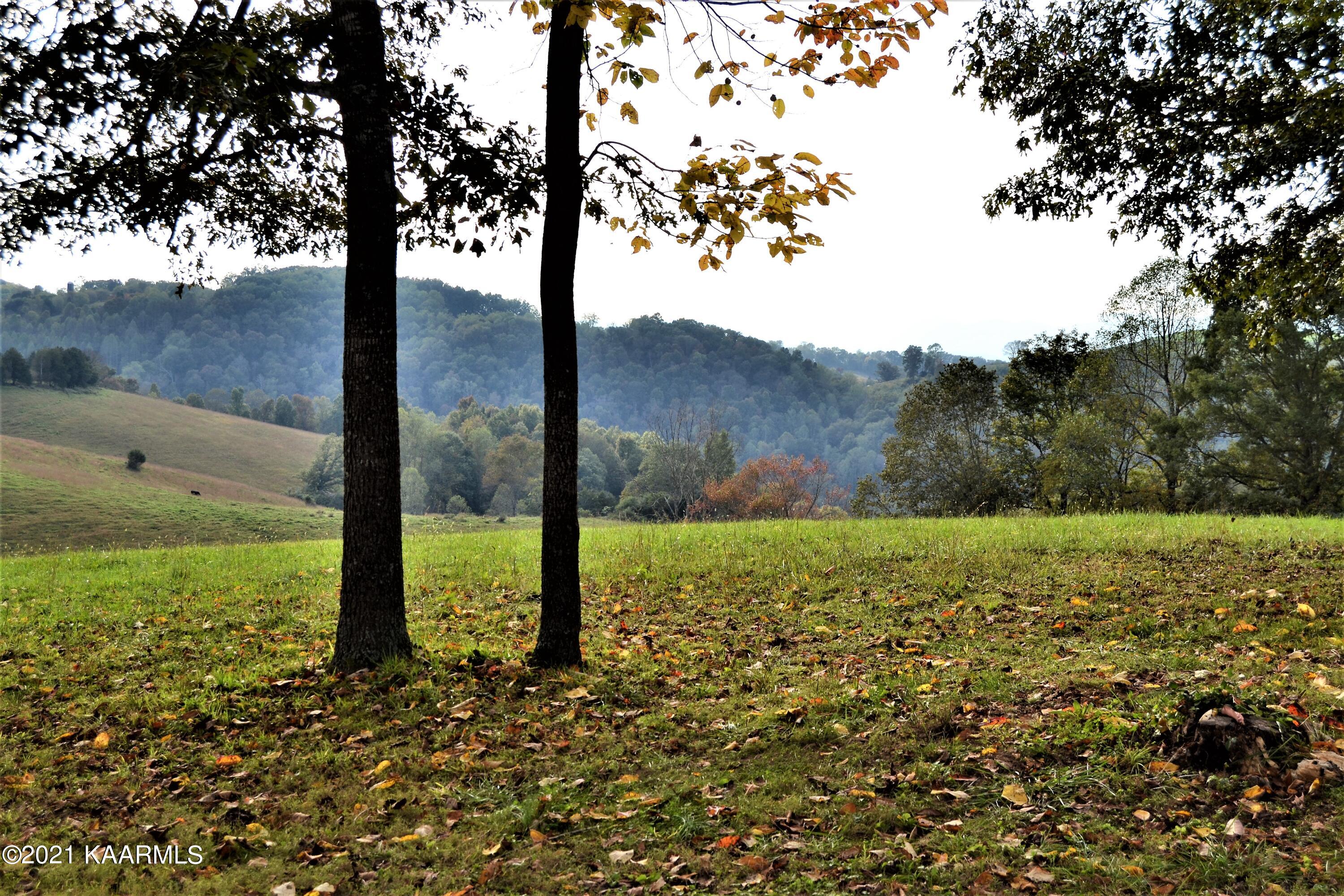 182 Grantham Ford Road Tazewell, TN 37879 - Photo 26 of 60 DSC_0038