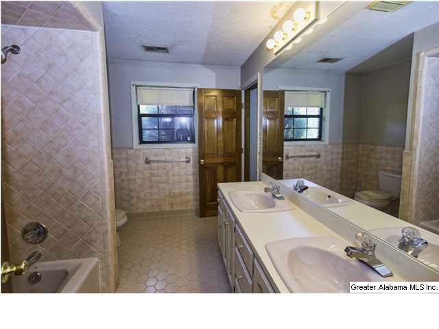 3706 Mt Olive Road Mount Olive, AL 35117 - Photo 13 of 20