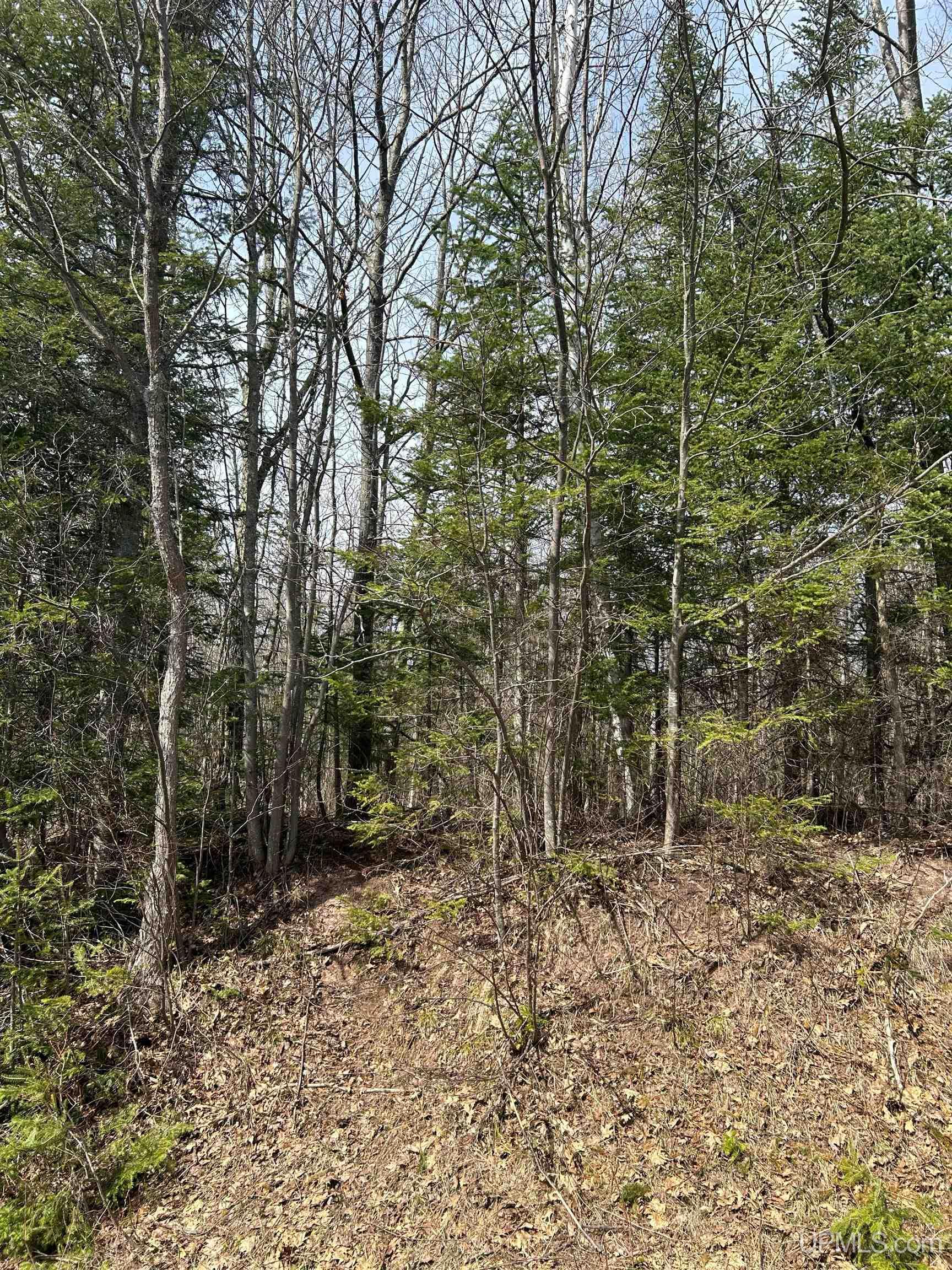 4-10 Firesteel Road Ontonagon, MI 49953 - Photo 23 of 28