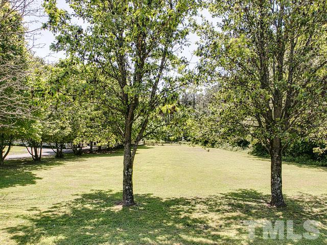406 John Jones Road Bahama, NC 27503 - Photo 22 of 24 Gallery Image 22