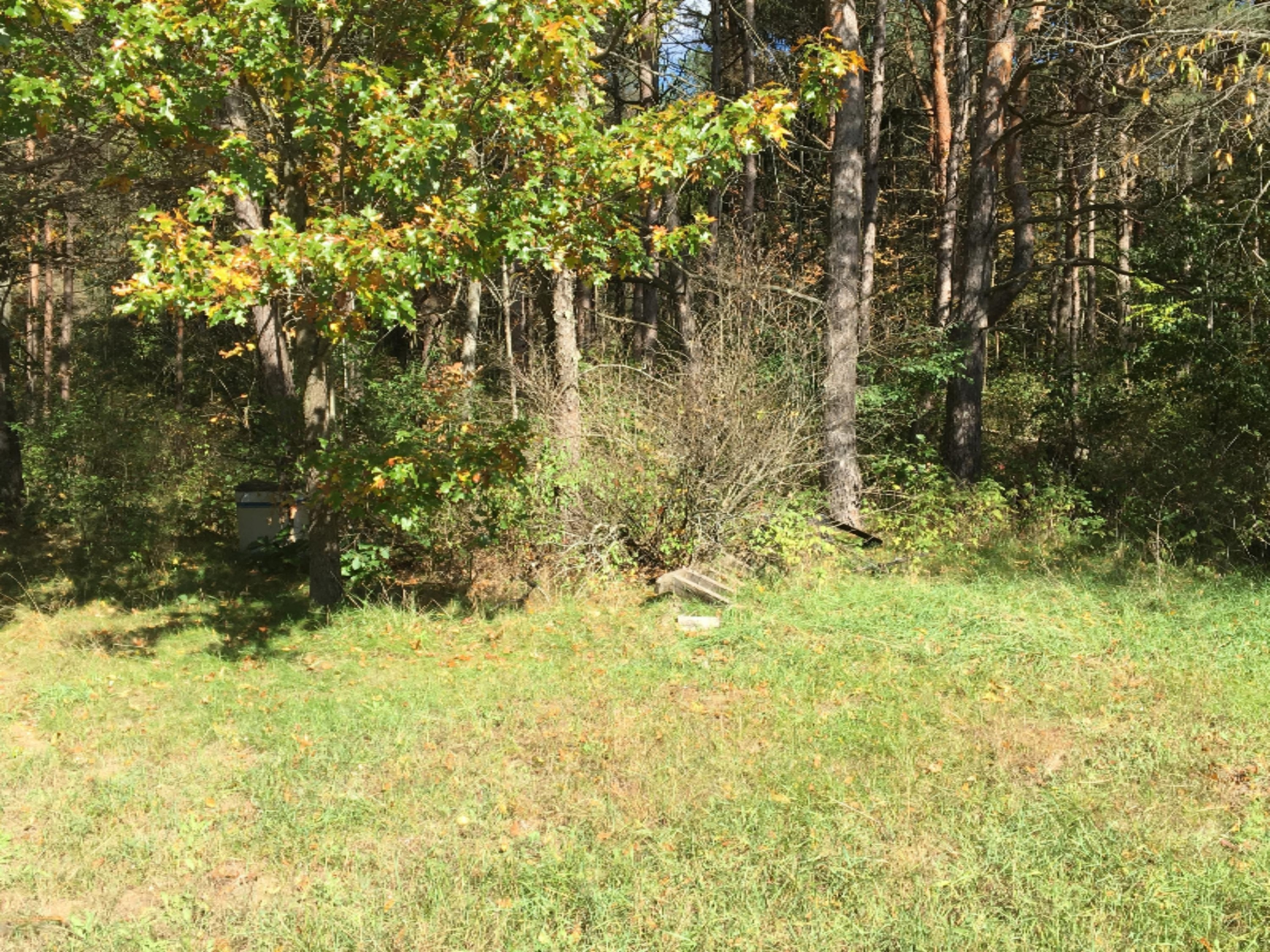 672 Centerline Road Newaygo, MI 49337 - Photo 7 of 21 IMG_1506