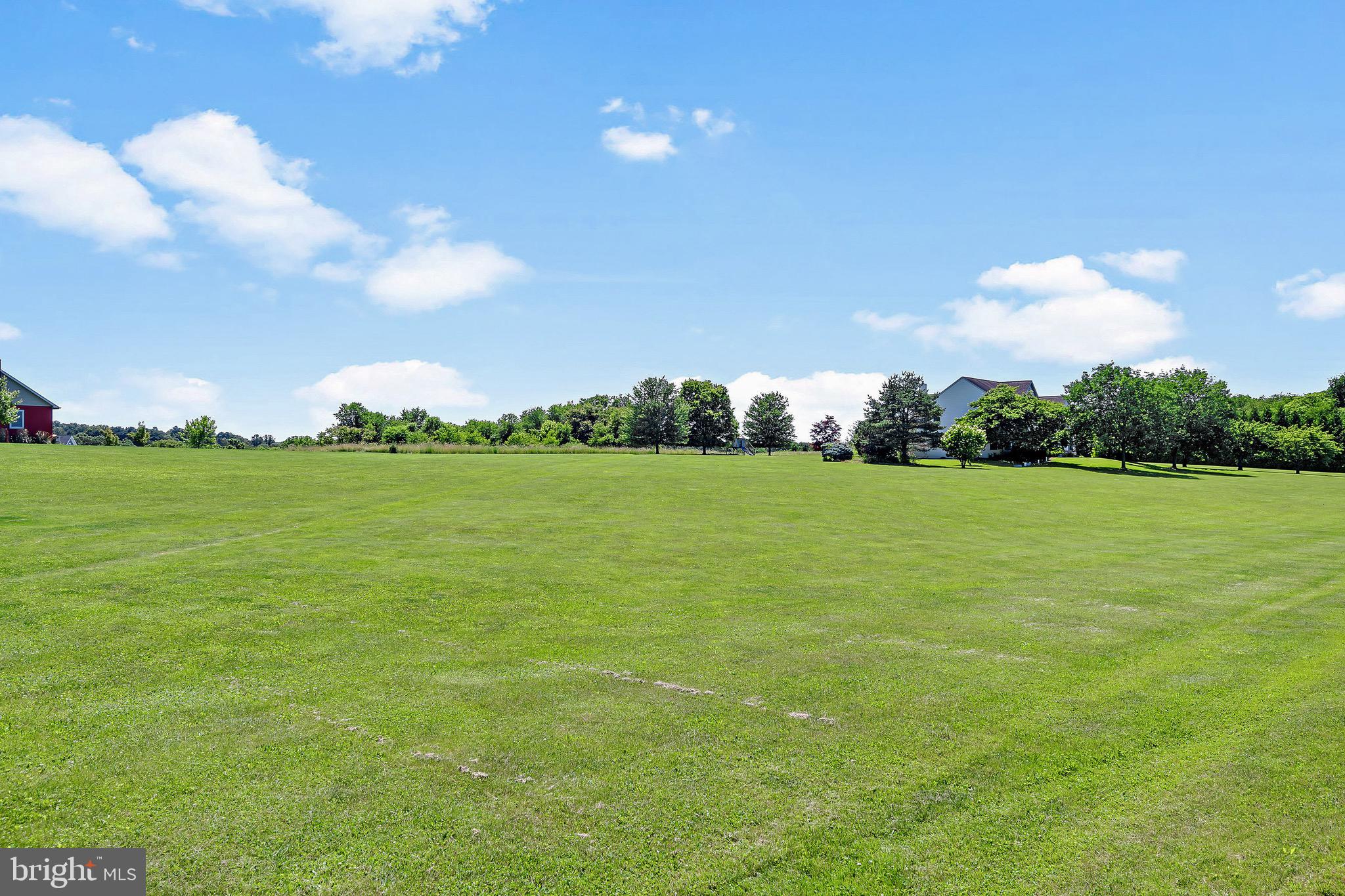 Plenty of land! Great for children and pets.