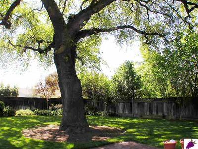 999 West Eymann Avenue Reedley, CA 93654 - Photo 25 of 31 Gallery Image 25