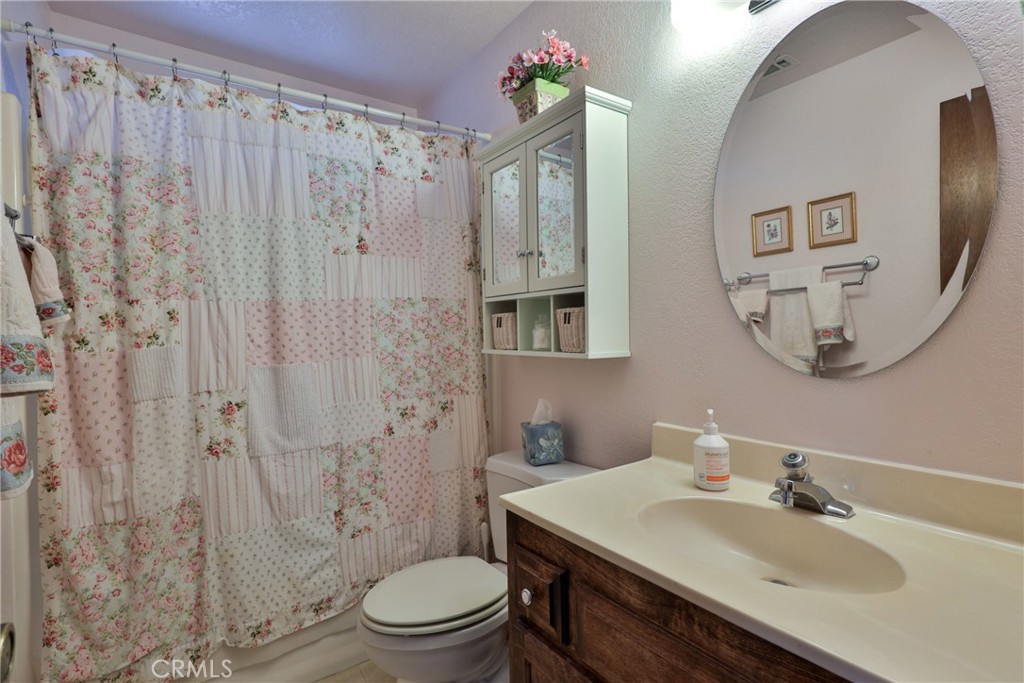 39177 Arapahoe Road Fawnskin, CA 92333 - Photo 16 of 39 a bathroom with a sink toilet a mirror and shower curtain