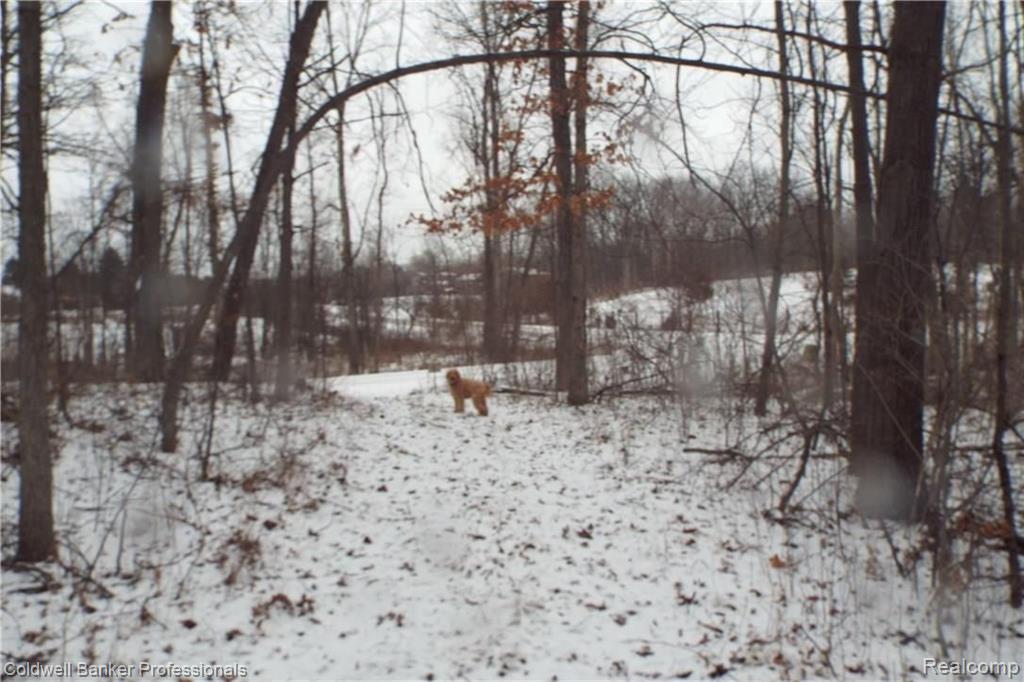 Eight West Eight Mile Road South Lyon, MI 48178 - Photo 47 of 58