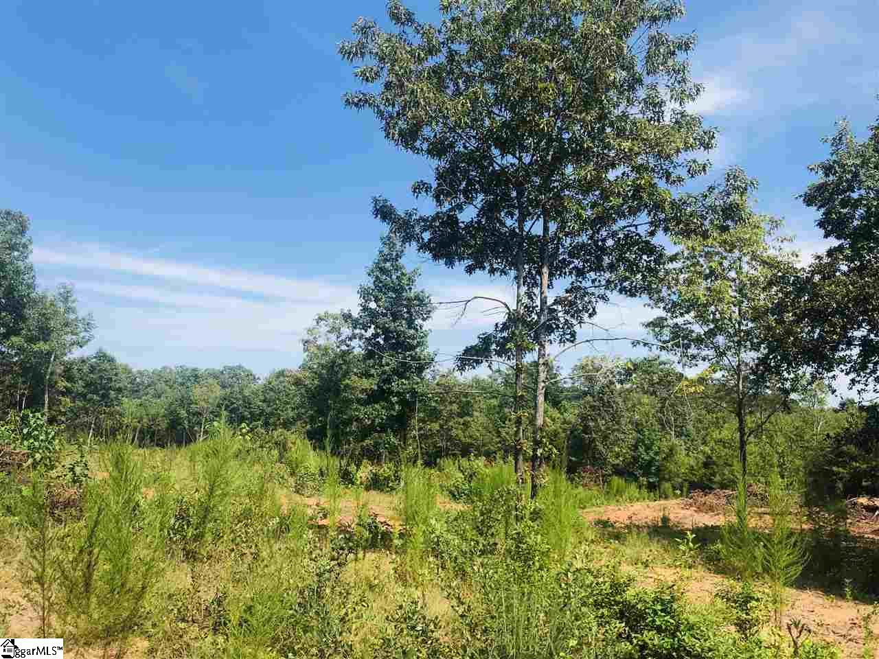 0 Poors Ford Road Chesnee, SC 29323 - Photo 19 of 26