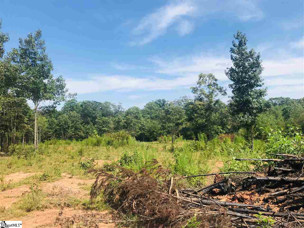 0 Poors Ford Road Chesnee, SC 29323 - Photo 20 of 26