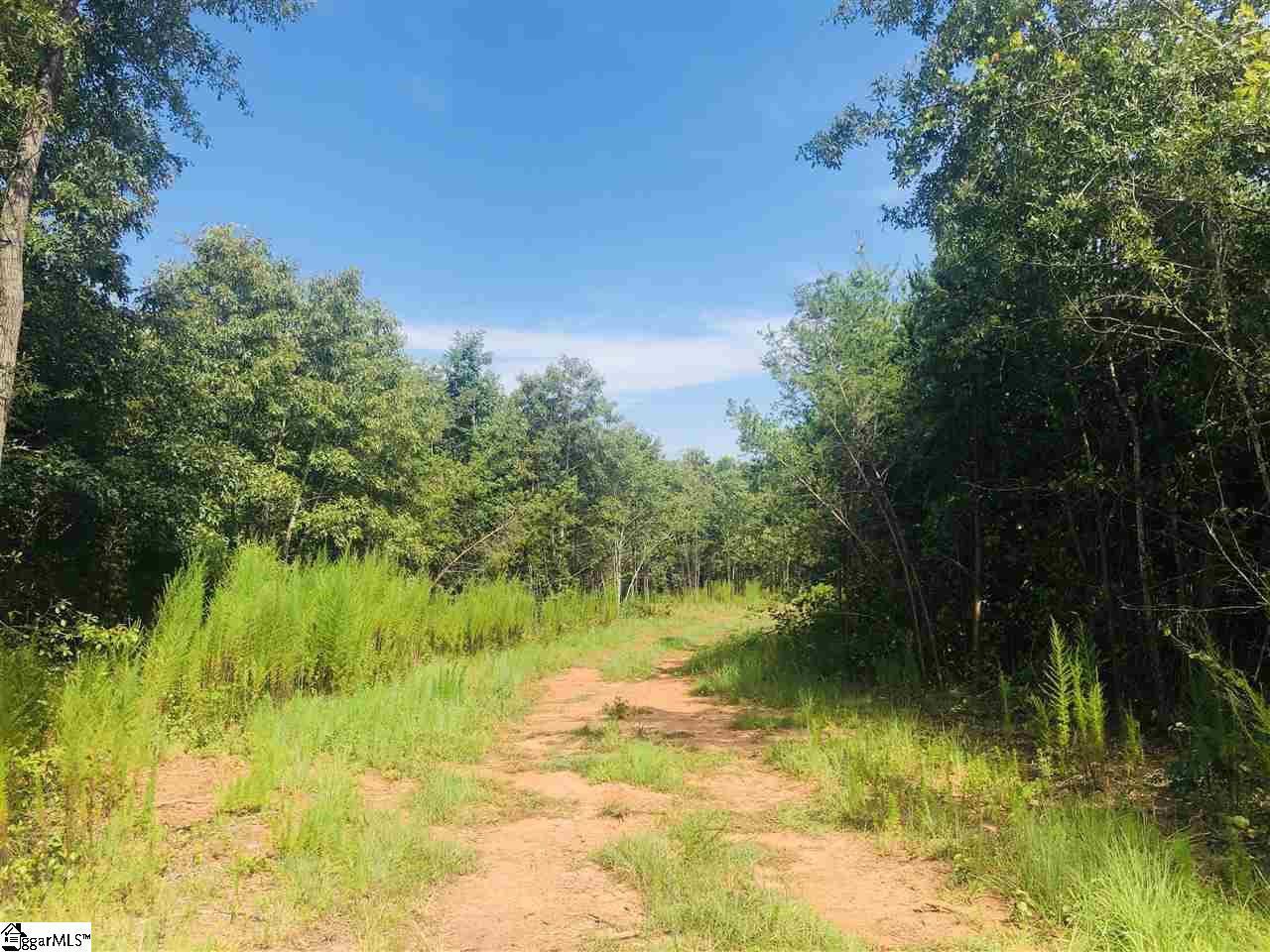 0 Poors Ford Road Chesnee, SC 29323 - Photo 23 of 26