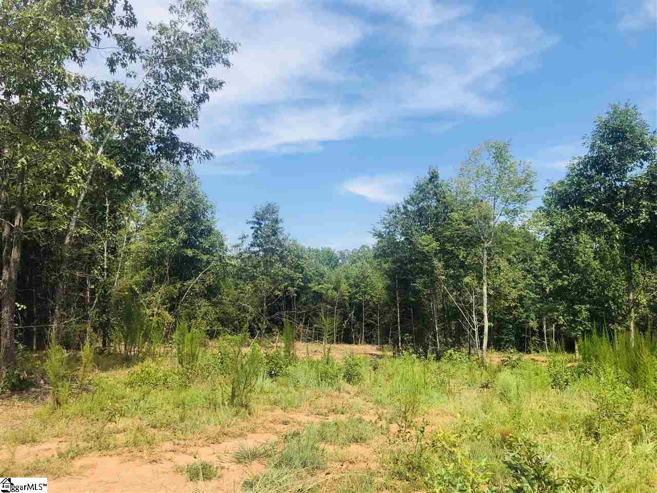 0 Poors Ford Road Chesnee, SC 29323 - Photo 6 of 26