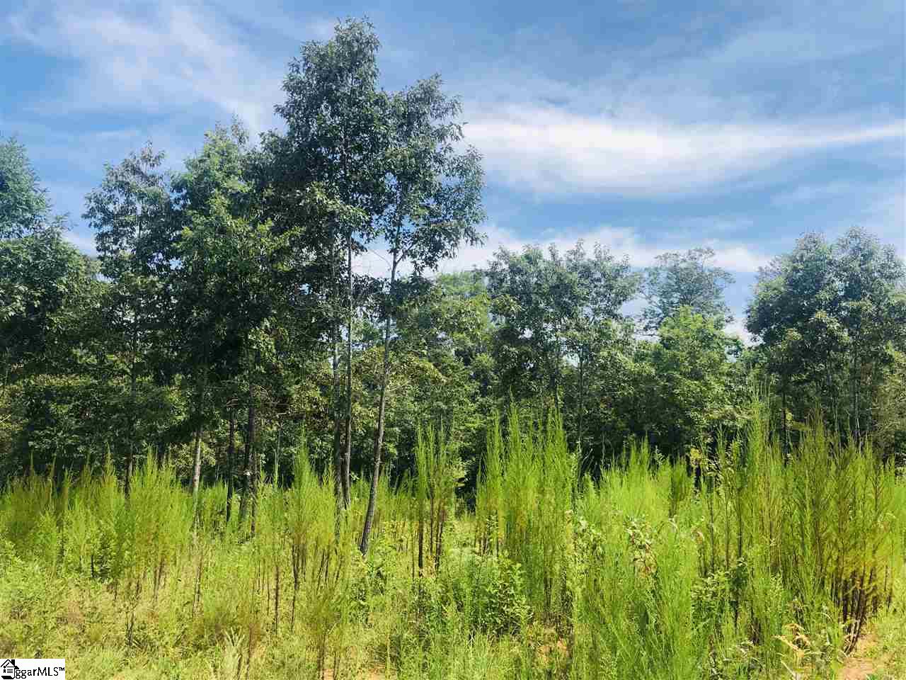 0 Poors Ford Road Chesnee, SC 29323 - Photo 7 of 26