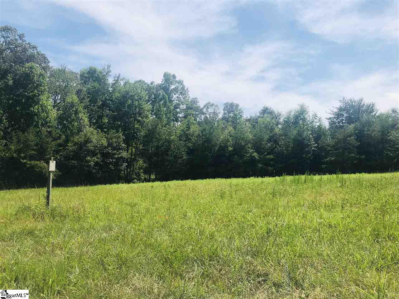 0 Poors Ford Road Chesnee, SC 29323 - Photo 9 of 26
