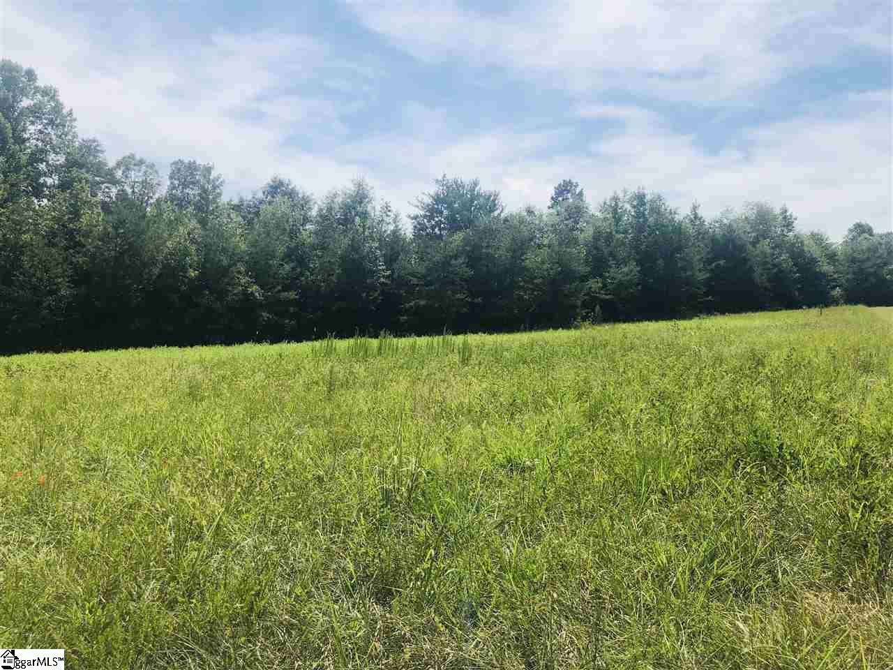 0 Poors Ford Road Chesnee, SC 29323 - Photo 10 of 26