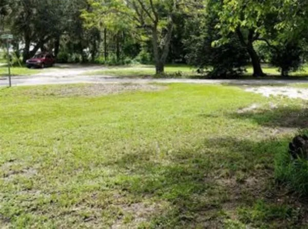 a view of yard with trees