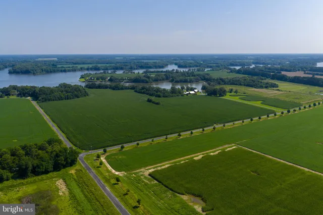 a view of a lake with a city view