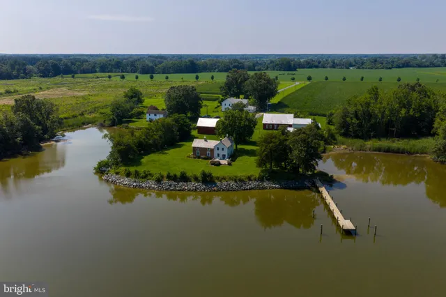 a view of a lake with a city view