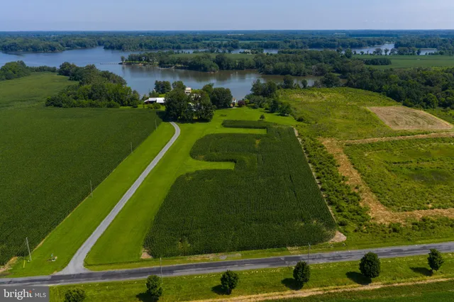 a view of a lake with a city view
