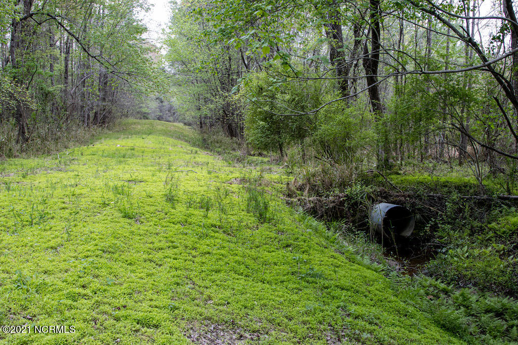 732 Campground Road Selma, NC 27576 - Photo 11 of 25 11
