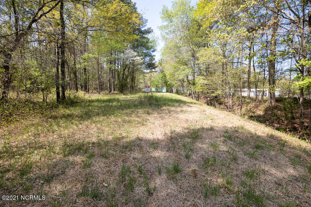 732 Campground Road Selma, NC 27576 - Photo 5 of 25 5